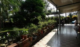 麻豆屋,揭秘时尚潮流的时尚圣地