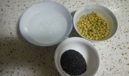 黄豆黑芝麻豆浆,黄豆黑芝麻豆浆，健康生活新选择